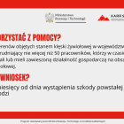 zdjęcie nr 2