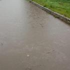 fot. Jelenia Góra Podaj Dalej