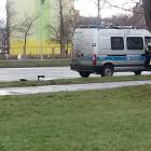 Fotka nr 1 z 7