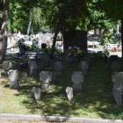 zdjęcie nr 13