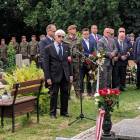 zdjęcie nr 8