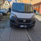 fot. Straż Miejska Jelenia Góra