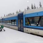zdjęcie nr 10
