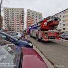 Fotka nr 2 z 4