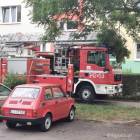 Fotka nr 2 z 10
