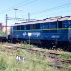 Fotka nr 5 z 13