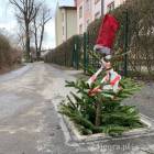 zdjęcie nr 3