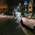 fot Straż Miejska Jelenia Góra