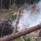 Fotka nr 4 z 10