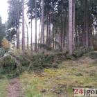 Fotka nr 2 z 11