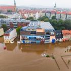 zdjęcie nr 12