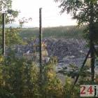 Fotka nr 1 z 2