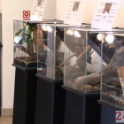 zdjęcie nr 14