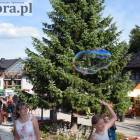 zdjęcie nr 33