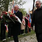 zdjęcie nr 14