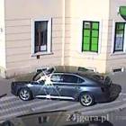 zdjęcie nr 8