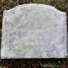 zdjęcie nr 10