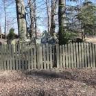 zdjęcie nr 7