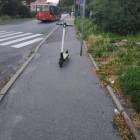 zdjęcie nr 9