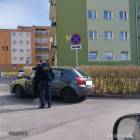Fotka nr 2 z 11
