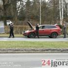 zdjęcie nr 9