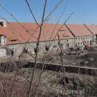 zdjęcie nr 22