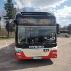 Fotka nr 2 z 3