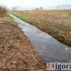 Fotka nr 5 z 6