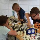 Fotka nr 2 z 133