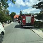 Fotka nr 5 z 10