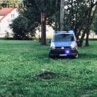 Fotka nr 1 z 11