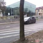 Fotka nr 4 z 6