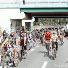 zdjęcie nr 19