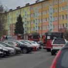 Fotka nr 1 z 2