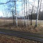 zdjęcie nr 29