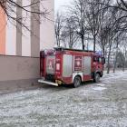 Fotka nr 2 z 6