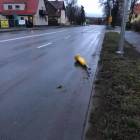 Fotka nr 1 z 7