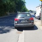 fot. Straż Miejska Jelenia Góra