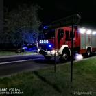 Fotka nr 5 z 8