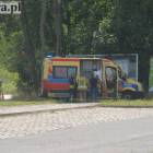 Fotka nr 5 z 13