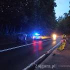 zdjęcie nr 7