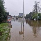 zdjęcie nr 113