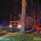 zdjęcie nr 8