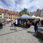 zdjęcie nr 20