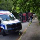 zdjęcie nr 8