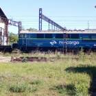 Fotka nr 4 z 13