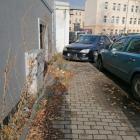 fot. Straż Miejska Jelenia Góra