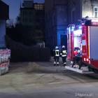 Fotka nr 5 z 8
