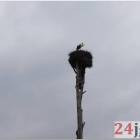 zdjęcie nr 11