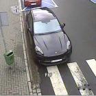 fot. Straż Miejska Jelenia Góra